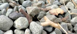 Pile of rocks and sticks Photo by Rachel Powell on Unsplash